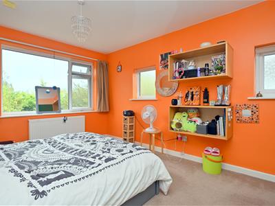Picture 10
